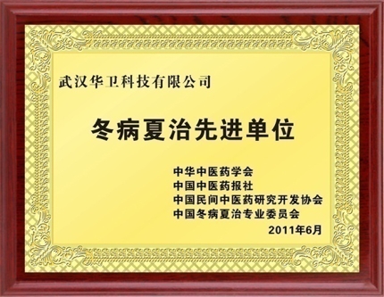 冬病夏治先進(jìn)單位